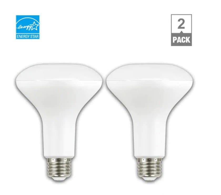 EcoSmart Bulbs EcoSmart 90-Watt Equivalent BR30 Dimmable Energy Star LED Light Bulb in Bright White (2-Pack)