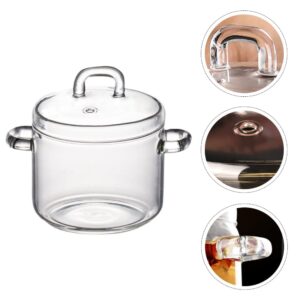 Clear Glass Cooking Pot Saucepan: - Glass Stew Pot with Lid Small Stovetop Pot Glass Cookware for Milk Pasta Noodles Soup 700ml