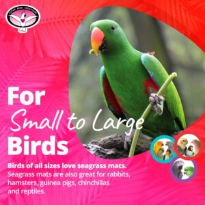 Super Bird Creations SB50006 Seagrass Mat for Cage Decor, Pet Enrichment and Boredom Relief - Versatile Toy-Making Base - Ideal for Parrots - Small to Large Birds & Reptiles - 12"x14" (3 Pack)