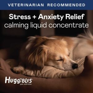 HUGGIBLES All-in-One Multivitamin and Stress & Anxiety Liquid Bundle for Dogs and Cats, Pet Food Additive for Digestive Support & Immunity - Calming Stress & Anxiety Support, Promotes Longevity