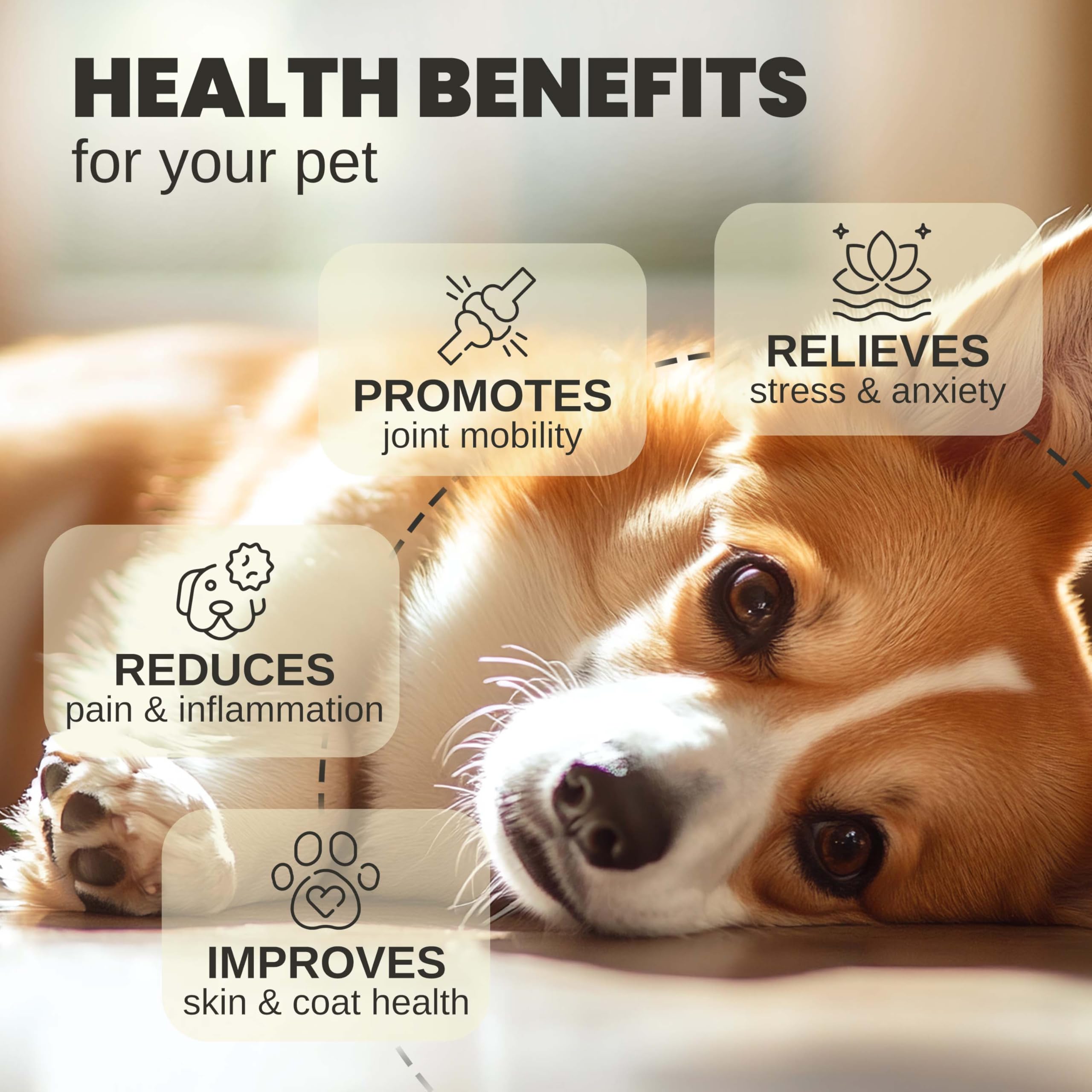 Billion Pets - Hemp Oil for Dogs and Cats - Helps with Anxiety, Pain - Hip and Joint Support - Calming Treats