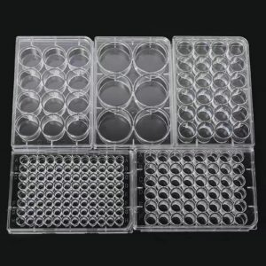 12-Well Tissue Culture Plate - Individually Wrapped， with Lid，Flat Bottom Wells（Pack of 10）