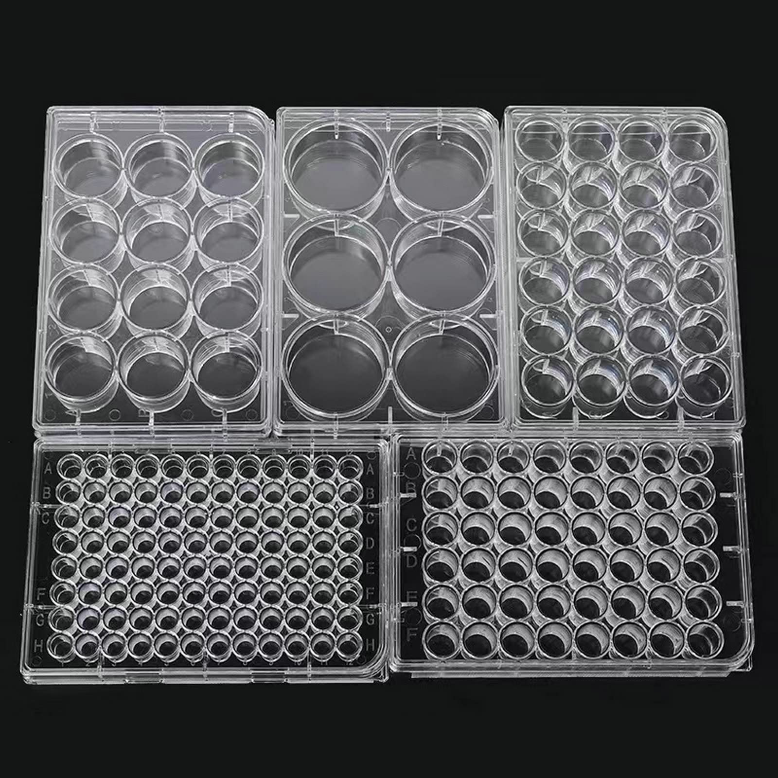 12-Well Tissue Culture Plate - Individually Wrapped， with Lid，Flat Bottom Wells（Pack of 10）