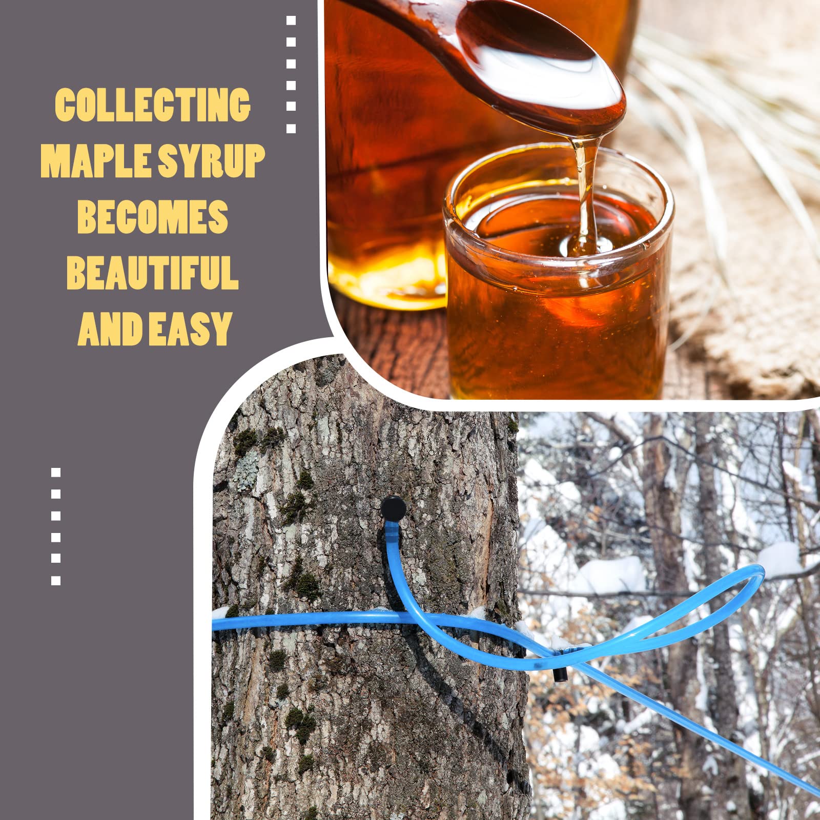 Maple Syrup Taps Vacuum Tubing Lines Maple Syrup Tree Tapping Tubing Line Syrup Collection Tubes with 10 Pieces Maple Tree Taps Plastic Maple Syrup Taps for Maple Birch Syrup Supplies (20 Feet)