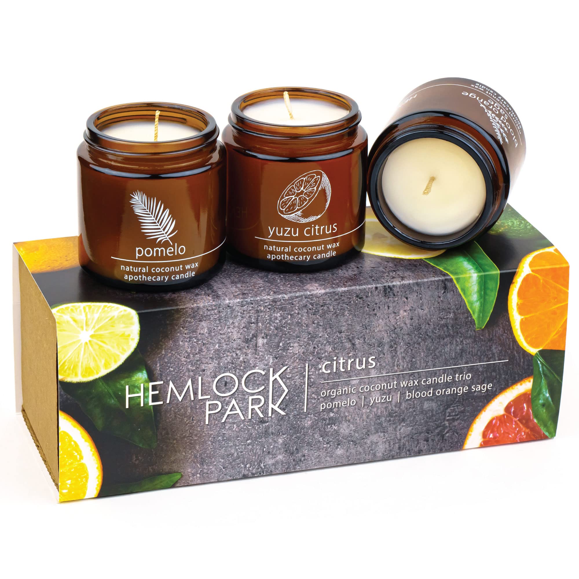 Hemlock Park Apothecary Candle Trio | Gift Set of Three 4 oz Candles Handcrafted with Natural Coconut Wax (Citrus | Pomelo, Yuzu, Blood Orange Sage)