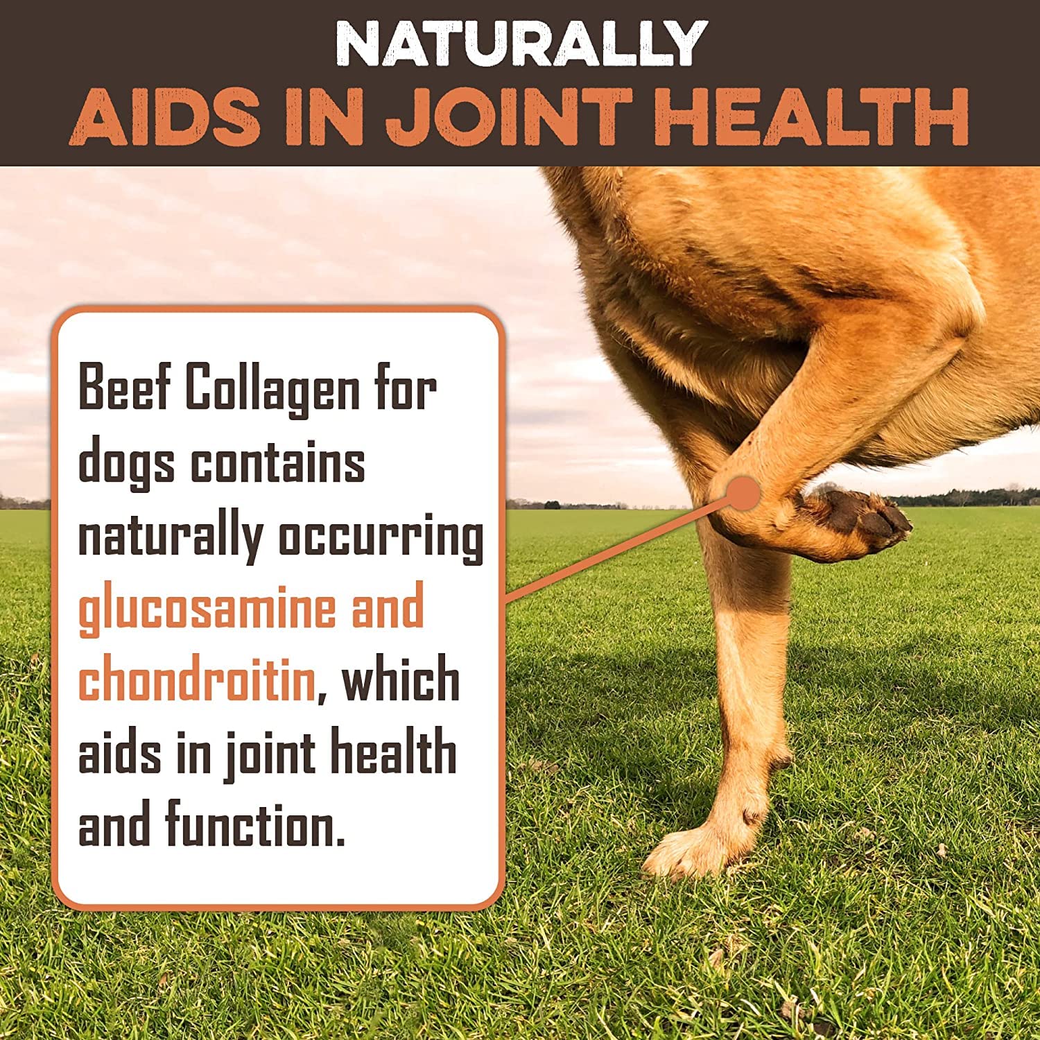 Beef Collagen Sticks For Dogs - Great Long Lasting Beef Collagen Dog Chews - Odor-Free, Natural Treat That Supports Joint Health With Natural Glucosamine & Chondroitin, For All Dog Breeds