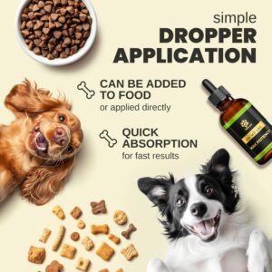 Billion Pets - Hemp Oil for Dogs and Cats - Helps with Anxiety, Pain - Hip and Joint Support - Calming Treats