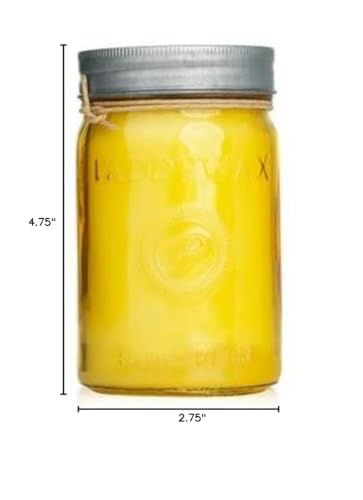 Paddywax Scented Candles Relish Mason Jar with Lid Luxury Artisan Candle, 9.5-Ounce, Fresh Meyer Lemon