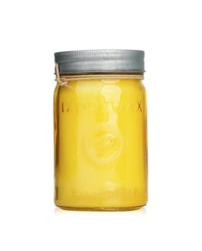 Paddywax Scented Candles Relish Mason Jar with Lid Luxury Artisan Candle, 9.5-Ounce, Fresh Meyer Lemon