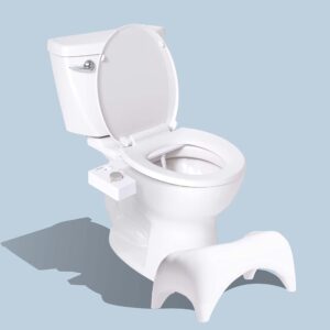 TUSHY Classic 3.0 Bidet Toilet Seat Attachment - A Non-Electric Self Cleaning Water Sprayer with Adjustable Water Pressure Nozzle, Angle Control (Classic 3.0, White/Platinum + Relaxed Ottoman)