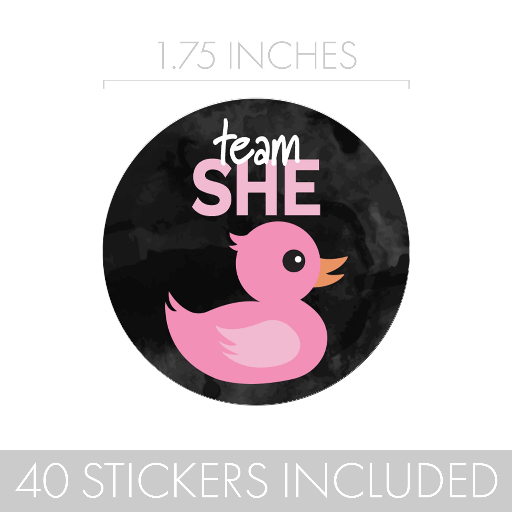 What The Duck are They Having Gender Reveal Party - Rubber Duck Team He or Team She - 40 Stickers