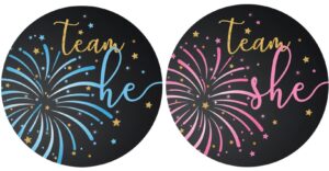 what will our little firework be gender reveal party -team he or team she - 40 stickers