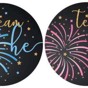 What Will Our Little Firework Be Gender Reveal Party -Team He or Team She - 40 Stickers