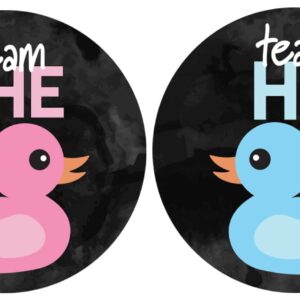 What The Duck are They Having Gender Reveal Party - Rubber Duck Team He or Team She - 40 Stickers