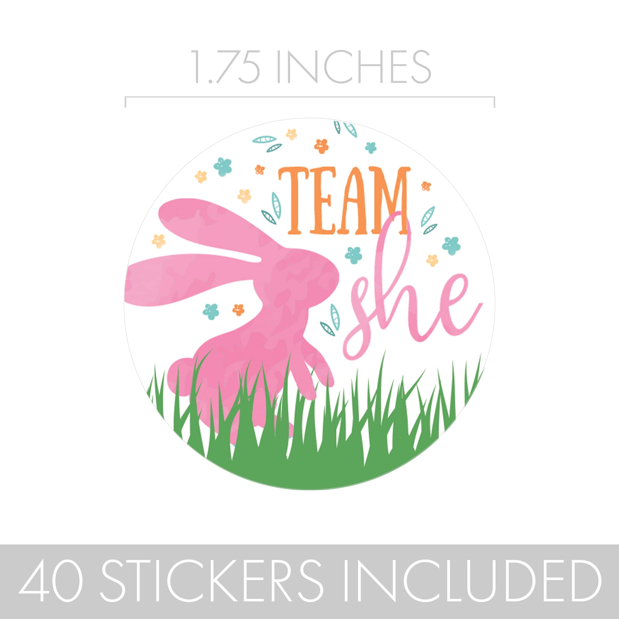 What Will Our Little Bunny Be Gender Reveal Party -Team He or Team She - 40 Stickers