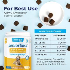 Vetnique Seniorbliss Senior Dog Joint Supplement with Glucosamine and Chondroitin for Dogs Joint Support and Healthy Cartilage Development - for Small & Large Breeds (Hip & Joint Chew, 120ct)