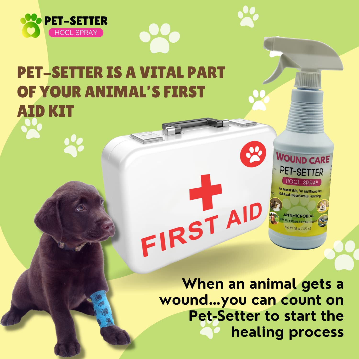 Pet-Setter Animal Wound and Skin Care Spray for all Pets Dog and Cat Cleanser Will Soothe Skin Irritations Treat Cuts Provide Itch Relief Eliminate Pet Odor Even Bad Breath Made in USA 16 Oz