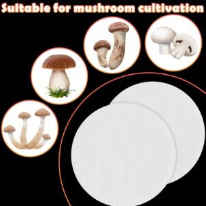 Synthetic Filter Paper Stickers 0.3 μm Filter Disc Wide Mouth Filter Paper Stickers Disc Adhesive Filter Patch Sticker for Mushroom Cultivation Wide Mouth Jar Lids Mason Jars, 68 mm(20 Pieces)