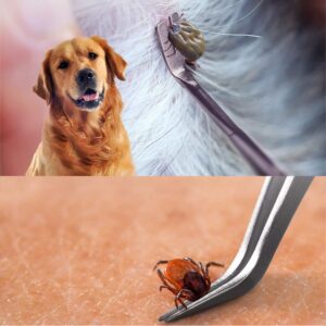 ILamourCar 4Pcs Tick Remover Tool Set, Professional Tick Tweezers Tick Hooks Tick Remover Painlessly Tick for Dogs Cats and Other Pets