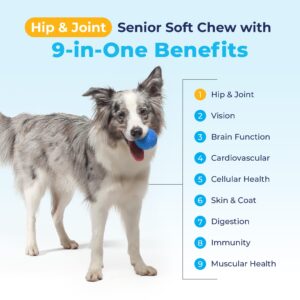 Vetnique Seniorbliss Senior Dog Joint Supplement with Glucosamine and Chondroitin for Dogs Joint Support and Healthy Cartilage Development - for Small & Large Breeds (Hip & Joint Chew, 120ct)