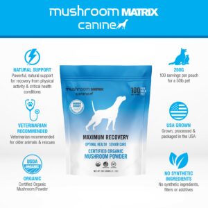 Om Mushroom Matrix Pet - Canine | Maximum Recovery | USA Grown Human-Grade Organic Mushroom Powder Pet Supplement | Optimal Health & Senior Care for Dogs & Cats | 200 Grams, 7.1 oz