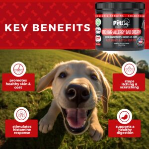 Pet Chef Allergy Defender - Natural Dog Allergy Relief Chews - Effective Medicine for All Dog Allergies, Environment & Household Irritant Prevention - Safe & Strong Dog Allergy Supplements for Dogs