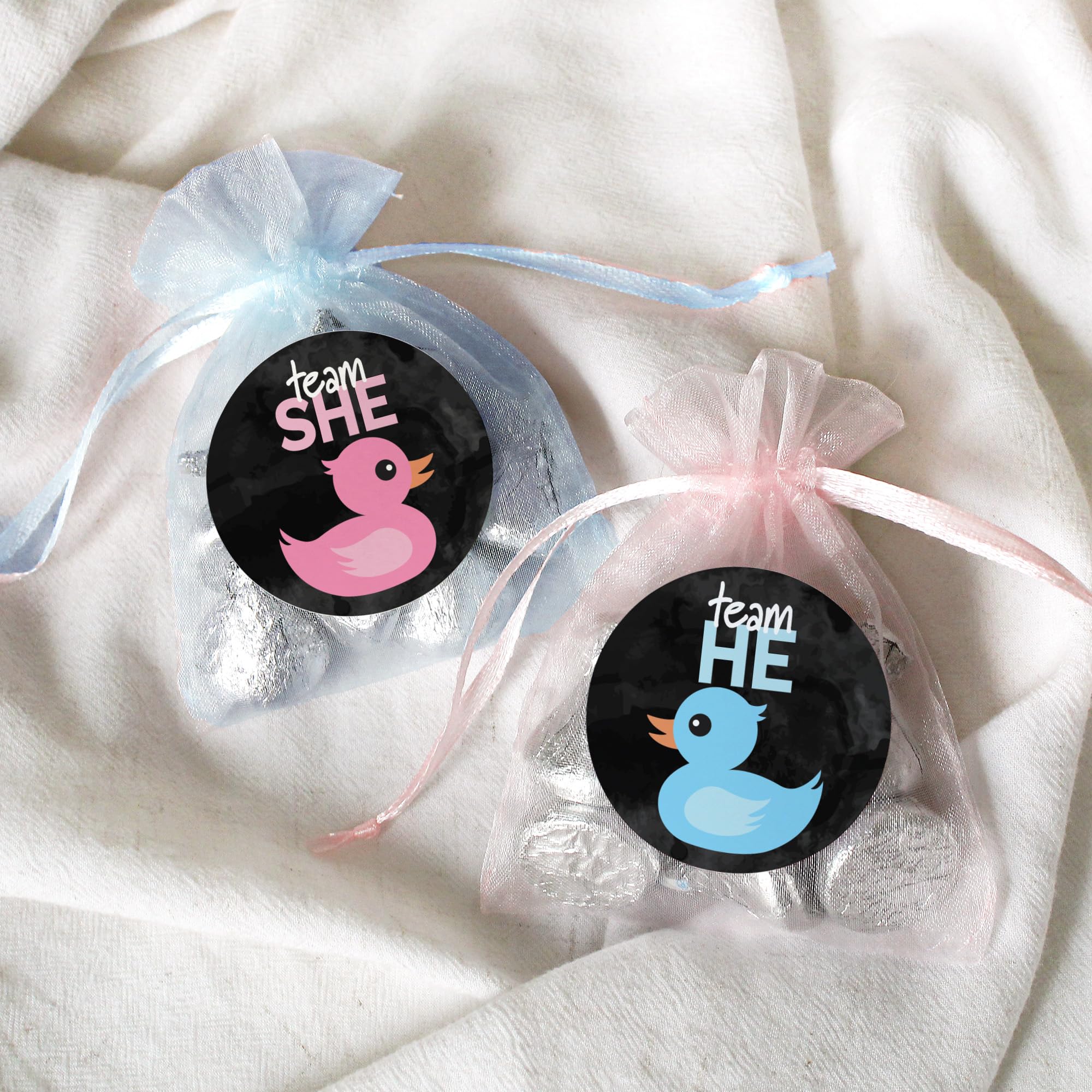 What The Duck are They Having Gender Reveal Party - Rubber Duck Team He or Team She - 40 Stickers