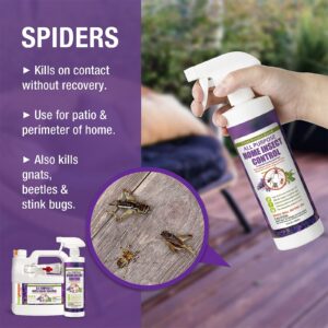 EcoVenger All Purpose Home Insect Control 1/2 Gallon with Trigger Sprayer, for Fleas, Fruit Flies, Gnats, Moths, Roaches, Spiders, Fast Kill