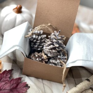 Fire Starters Scented Pine Cones | Fireside Natural Fire Pit Starters with Natural Soy Wax | Christmas Home Fragrance Fir + Cypress + Cedar + Amber + Moss | Set of 6 Pine Cones Gift Box