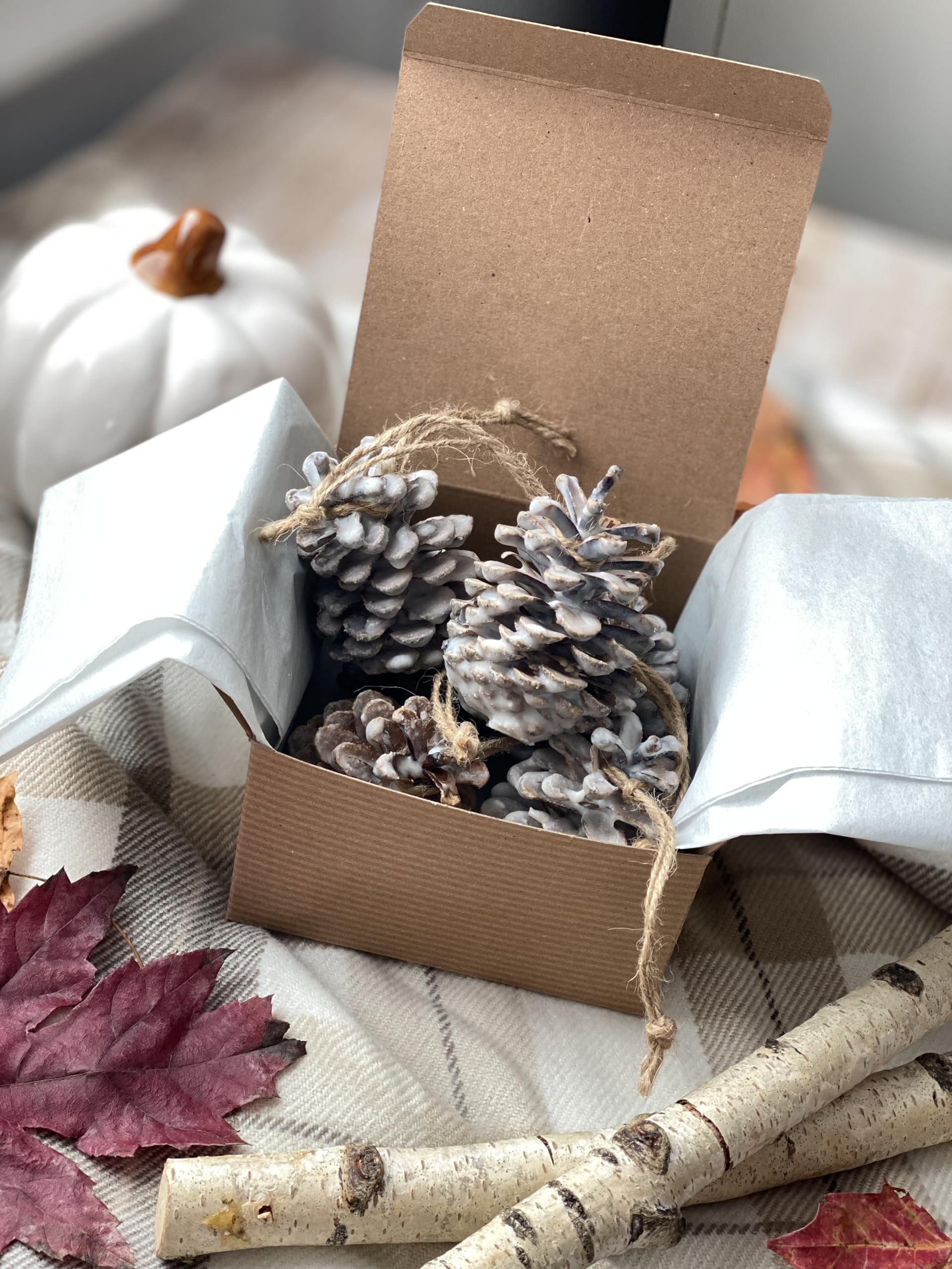 Fire Starters Scented Pine Cones | Fireside Natural Fire Pit Starters with Natural Soy Wax | Christmas Home Fragrance Fir + Cypress + Cedar + Amber + Moss | Set of 6 Pine Cones Gift Box