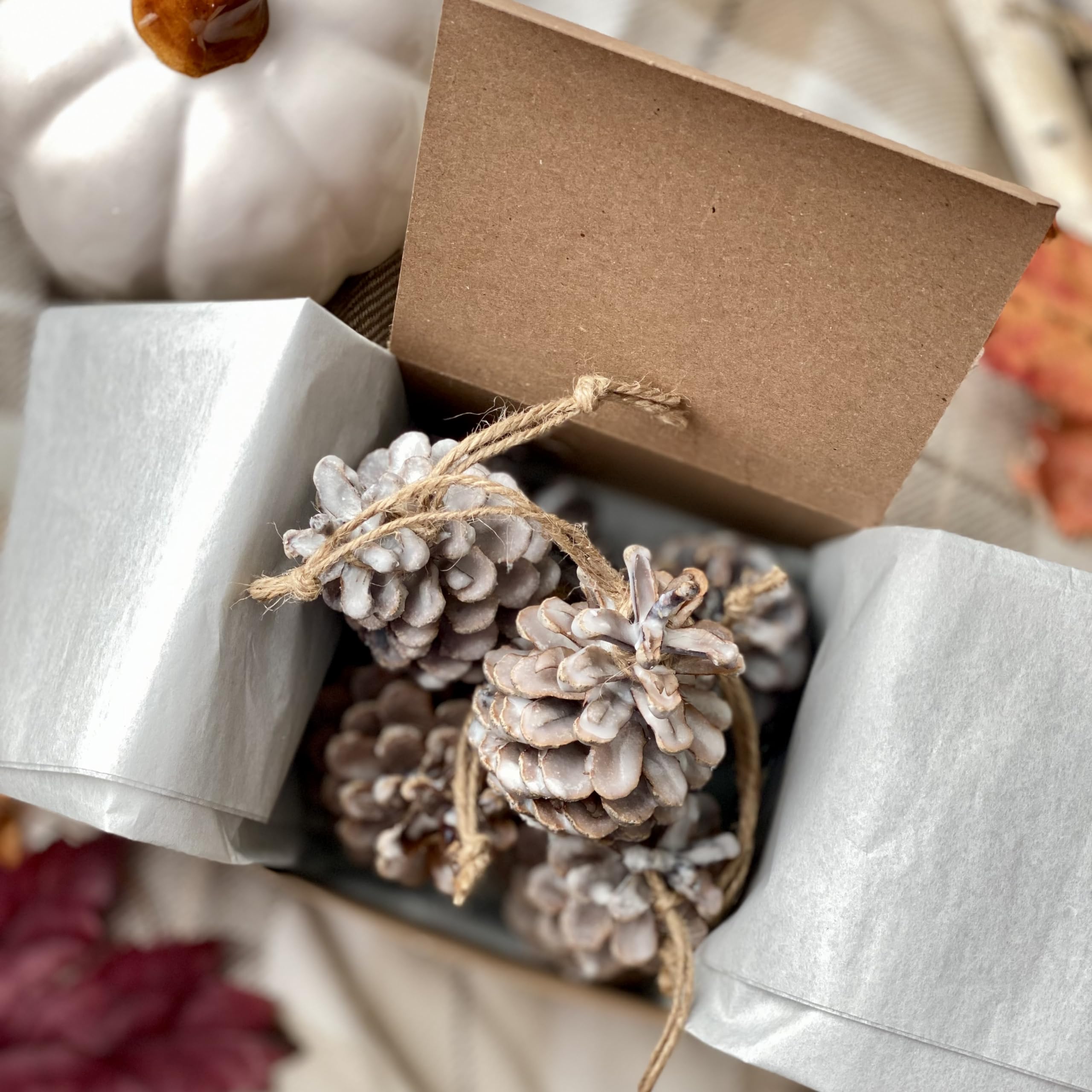 Fire Starters Scented Pine Cones | Fireside Natural Fire Pit Starters with Natural Soy Wax | Christmas Home Fragrance Fir + Cypress + Cedar + Amber + Moss | Set of 6 Pine Cones Gift Box