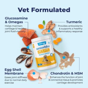 Vetnique Seniorbliss Senior Dog Joint Supplement with Glucosamine and Chondroitin for Dogs Joint Support and Healthy Cartilage Development - for Small & Large Breeds (Hip & Joint Chew, 120ct)