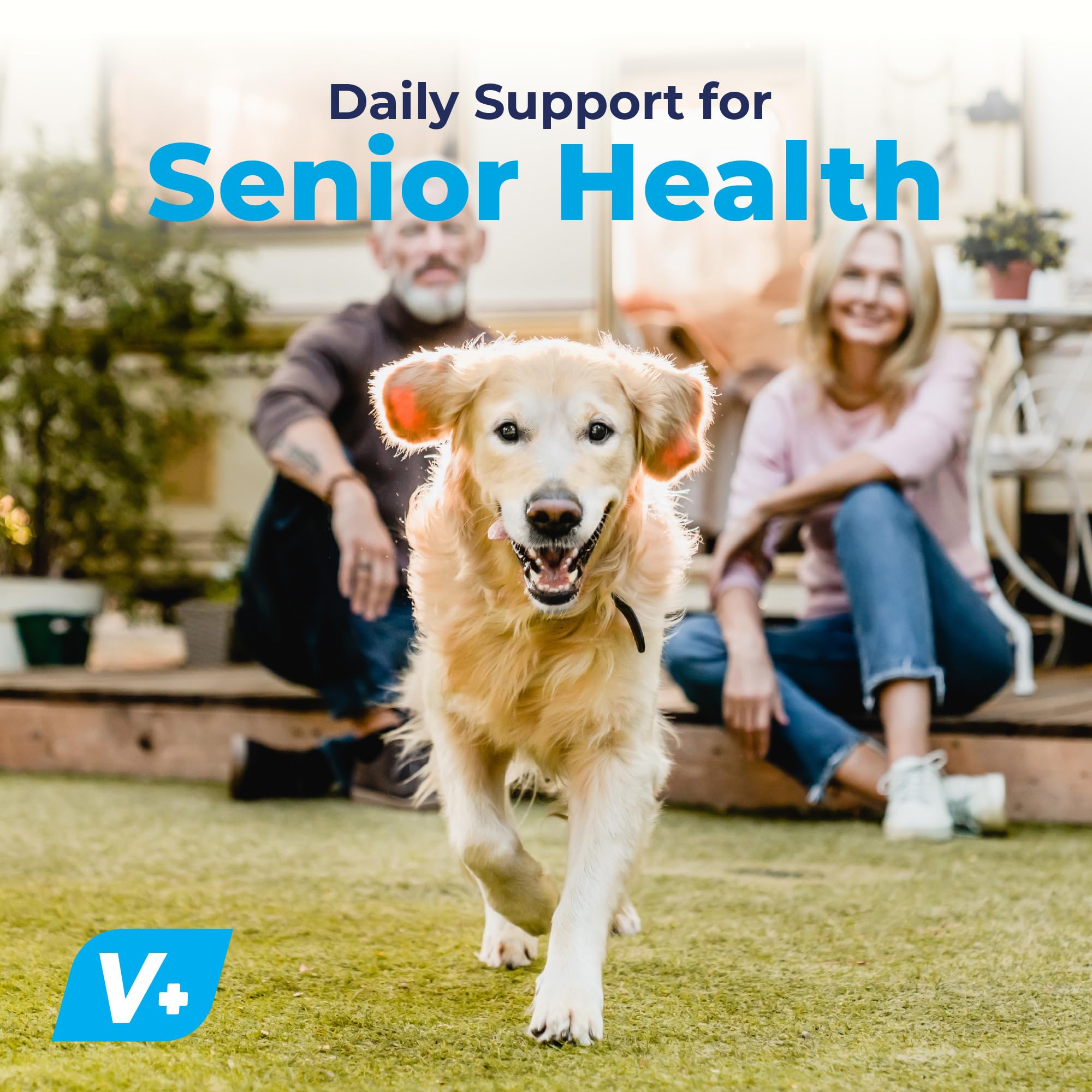 Vetnique Seniorbliss Senior Dog Joint Supplement with Glucosamine and Chondroitin for Dogs Joint Support and Healthy Cartilage Development - for Small & Large Breeds (Hip & Joint Chew, 120ct)