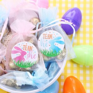 What Will Our Little Bunny Be Gender Reveal Party -Team He or Team She - 40 Stickers