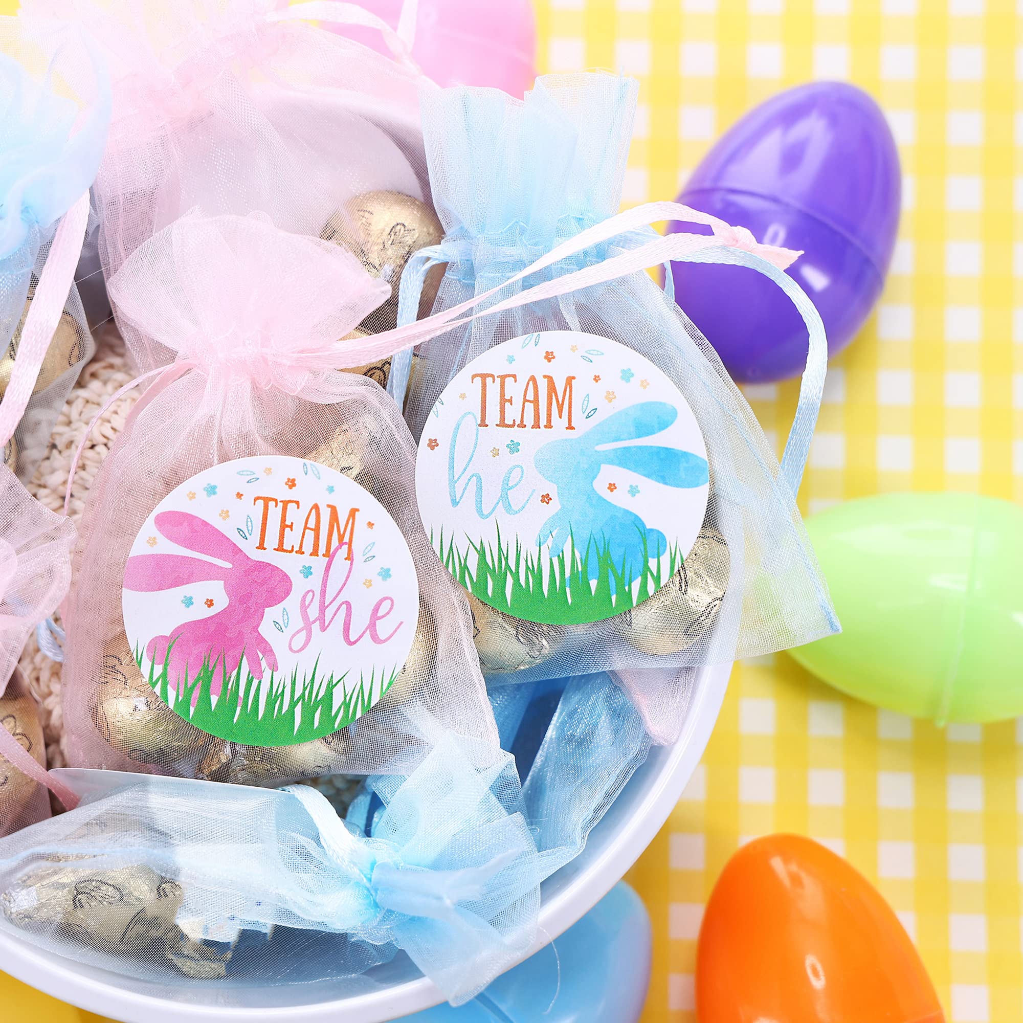 What Will Our Little Bunny Be Gender Reveal Party -Team He or Team She - 40 Stickers