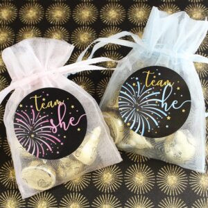 What Will Our Little Firework Be Gender Reveal Party -Team He or Team She - 40 Stickers