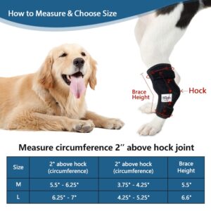 Hilph Dog Ice Pack for Rear Leg Hock,Cooling Hock Wraps with 2 Gel Ice Packs, Cold and Heat Compression Therapy for Dogs Hock Injuires, Dog Joint Pain, Sprains and Post Surgery Recovery (Large)