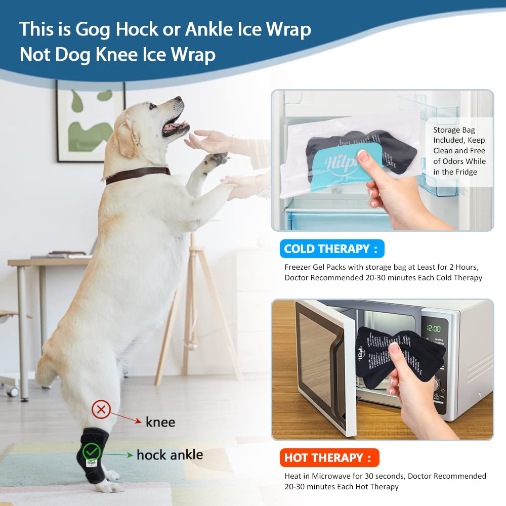 Hilph Dog Ice Pack for Rear Leg Hock,Cooling Hock Wraps with 2 Gel Ice Packs, Cold and Heat Compression Therapy for Dogs Hock Injuires, Dog Joint Pain, Sprains and Post Surgery Recovery (Large)