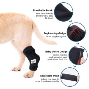 Hilph Dog Ice Pack for Rear Leg Hock,Cooling Hock Wraps with 2 Gel Ice Packs, Cold and Heat Compression Therapy for Dogs Hock Injuires, Dog Joint Pain, Sprains and Post Surgery Recovery (Large)