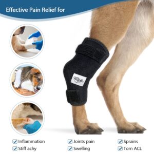 Hilph Dog Ice Pack for Rear Leg Hock,Cooling Hock Wraps with 2 Gel Ice Packs, Cold and Heat Compression Therapy for Dogs Hock Injuires, Dog Joint Pain, Sprains and Post Surgery Recovery (Large)