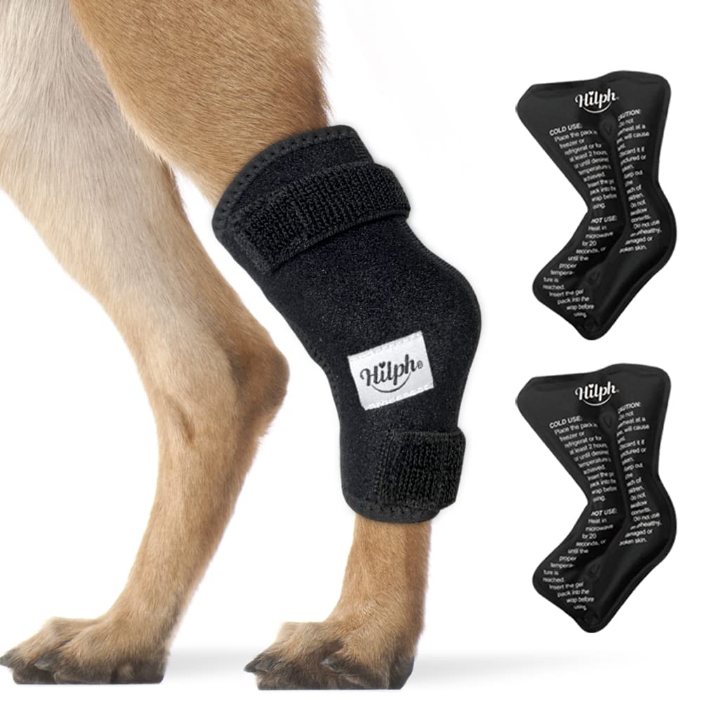 Hilph Dog Ice Pack for Rear Leg Hock,Cooling Hock Wraps with 2 Gel Ice Packs, Cold and Heat Compression Therapy for Dogs Hock Injuires, Dog Joint Pain, Sprains and Post Surgery Recovery (Large)