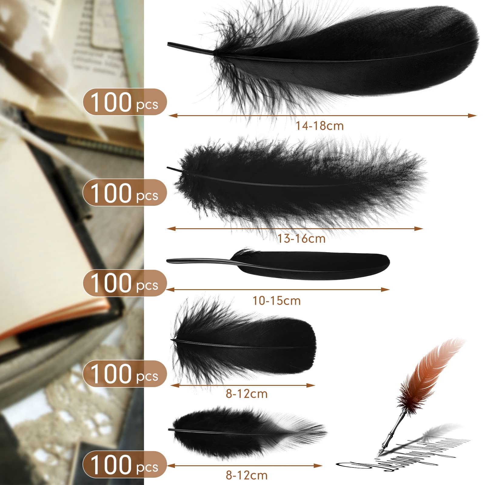 500 Pcs Halloween Black Assorted Crafts Feathers 4 Styles Mixed Feathers Black Feathers for Crafts Chicken Turkey Goose Feathers Supplies for DIY Wedding Home Party Costume Clothing Accessories