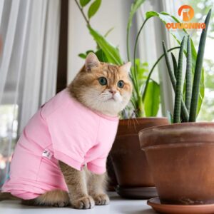 oUUoNNo Cat Recovery Suit for Abdominal Wounds or Skin Diseases,E-Collar Alternative for Cats,After Surgery Wear,Pajama Suit Long Sleeve Prevent Shedding (X-Small, Pink)