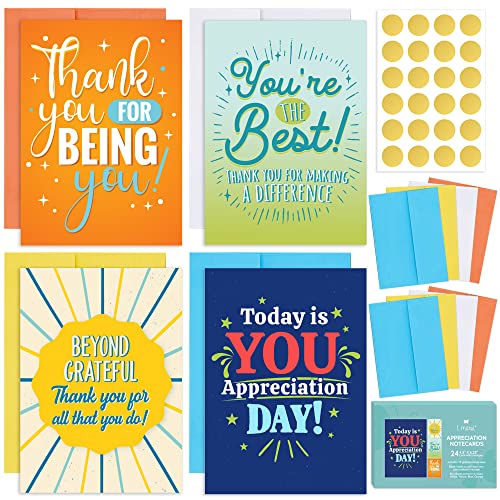 24 Appreciation Cards with Colorful Envelopes and Gold Stickers - Team Gifts, Teacher Gifts Bulk, Volunteer and Employee Appreciation Cards, Gratitude and Encouragement Cards - Boxed Set of Thank You