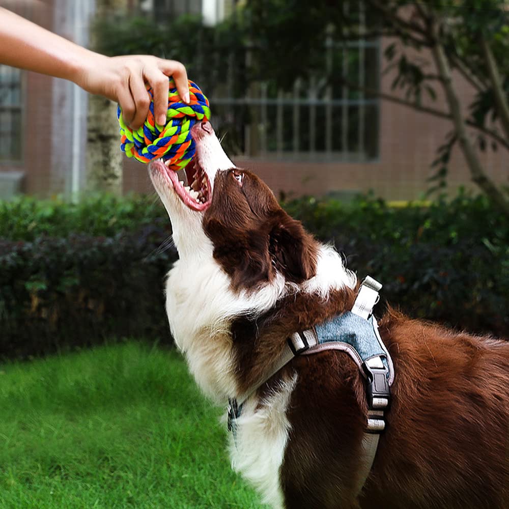 Wellbro Pet Chew Toy, Knots Weave Cotton Rope, Biting Small Ball for Dogs & Cats, 6 in One Pack