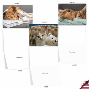 The Best Card Company - 20 Assorted Boxed Thank You Note Cards with Envelopes (4 x 5.12 Inch) - Teddy Cat AM2821TYG-B2x10