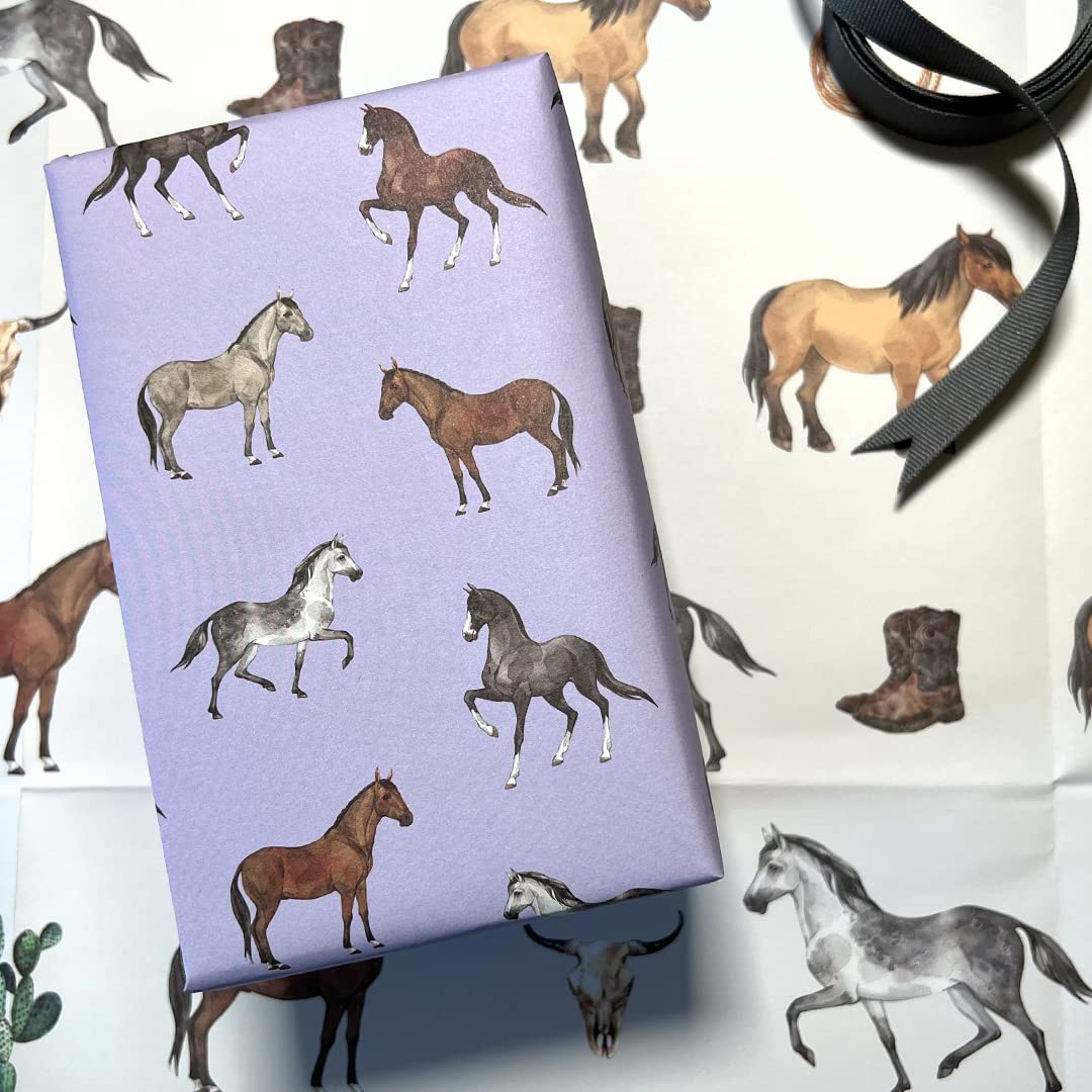 REVEL & Co Equus Horse Birthday Gift Wrap by Hoot LeRoux—Horse Wrapping Paper Folded flat, 27 x 39 inches