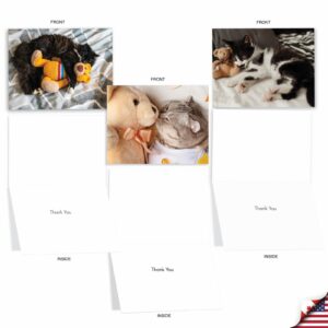 The Best Card Company - 20 Assorted Boxed Thank You Note Cards with Envelopes (4 x 5.12 Inch) - Teddy Cat AM2821TYG-B2x10