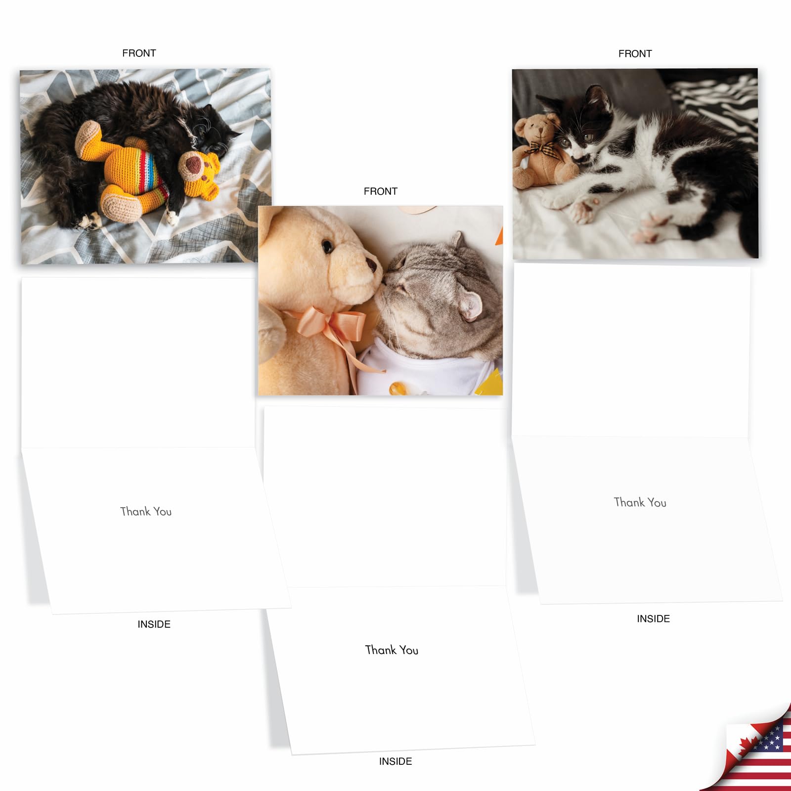 The Best Card Company - 20 Assorted Boxed Thank You Note Cards with Envelopes (4 x 5.12 Inch) - Teddy Cat AM2821TYG-B2x10