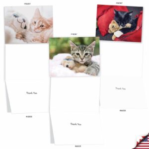 The Best Card Company - 20 Assorted Boxed Thank You Note Cards with Envelopes (4 x 5.12 Inch) - Teddy Cat AM2821TYG-B2x10